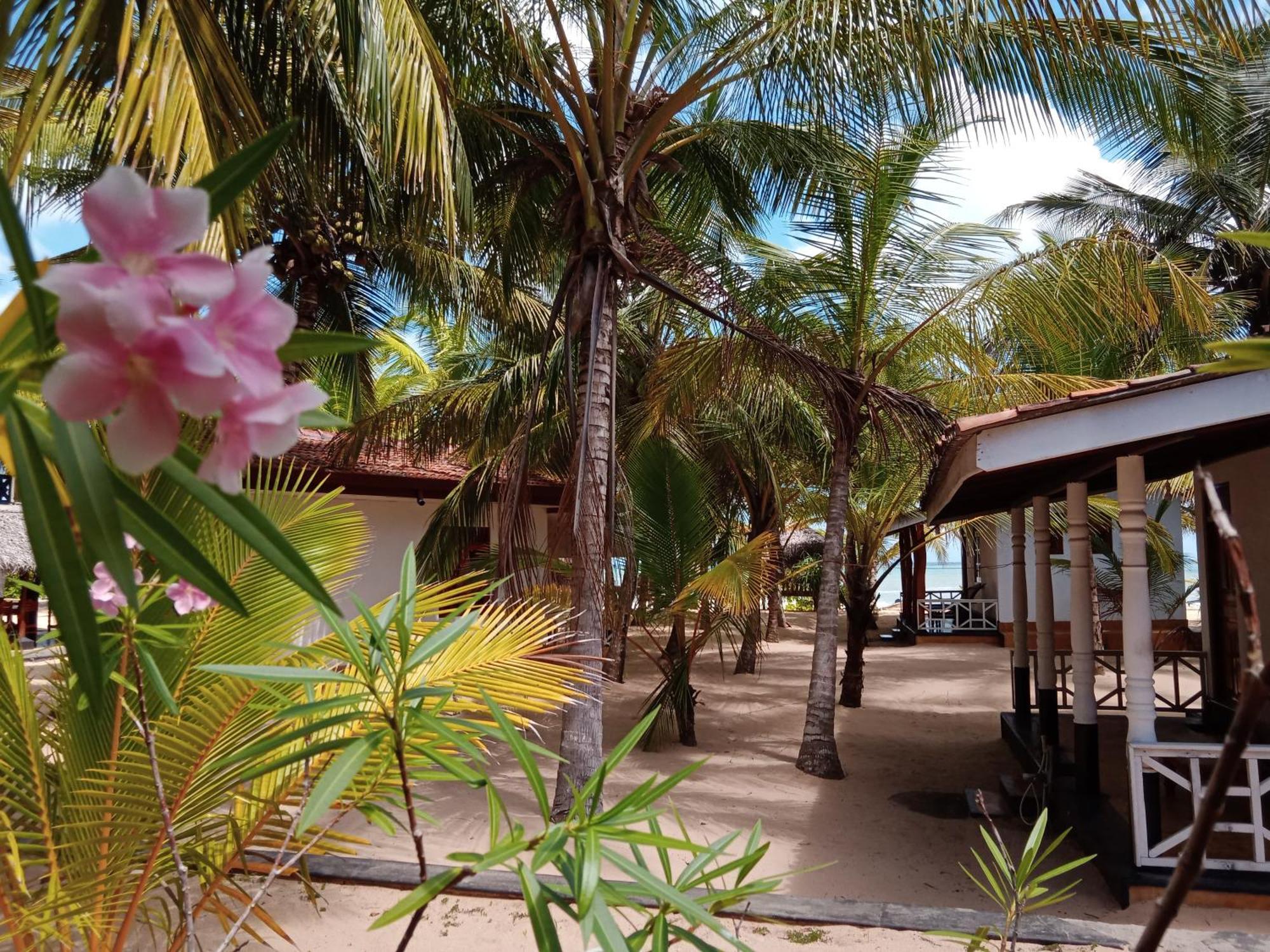 Ibisbird Beach Bungalows, Sport, Spa And Restaurant Tangalle Esterno foto
