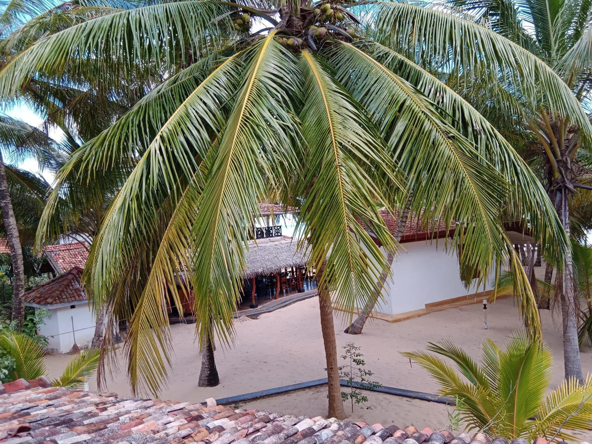 Ibisbird Beach Bungalows, Sport, Spa And Restaurant Tangalle Esterno foto